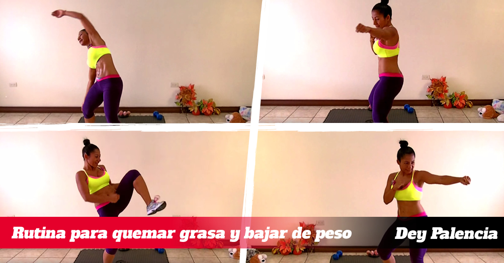 comidas para quemar grasa del abdomen comidas para quemar grasa del abdomen
