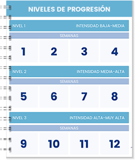 3 Niveles de progesión
