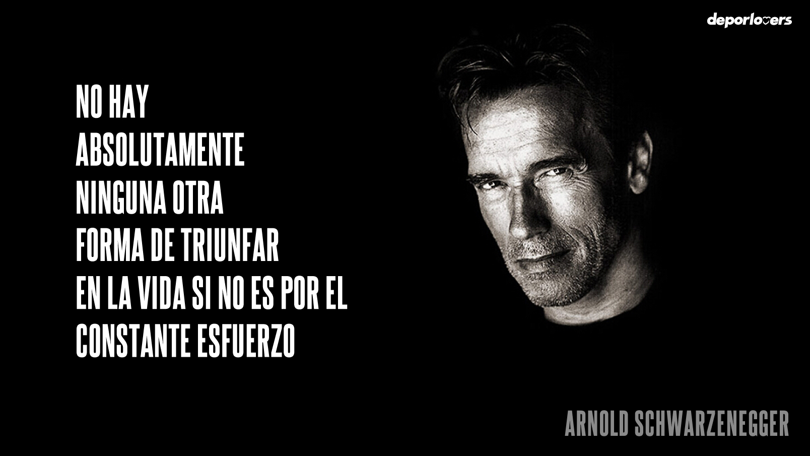 Frases Motivacionales My Cms Frases Motivacionales Mo - vrogue.co